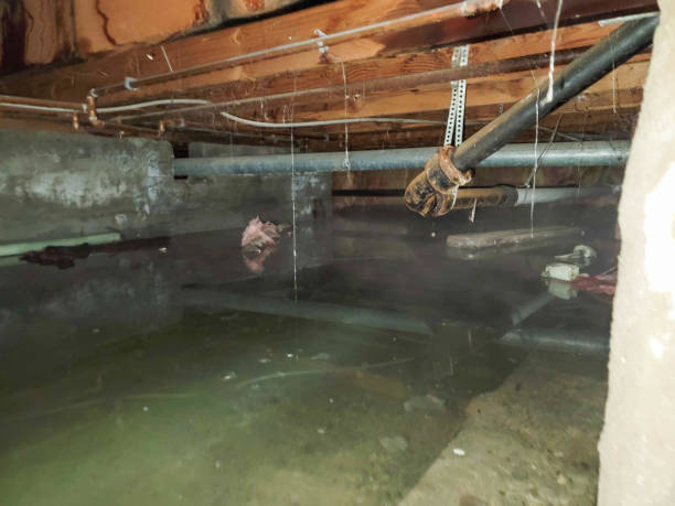 Best Fire Damage Restoration  in Marion, VA