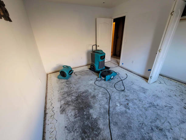 Best Water damage contractors near me  in Marion, VA