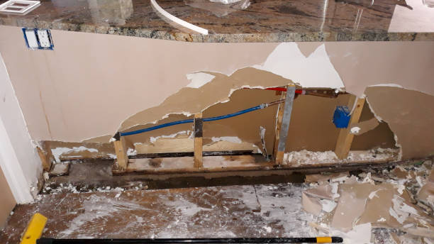 Best Local water damage restoration  in Marion, VA