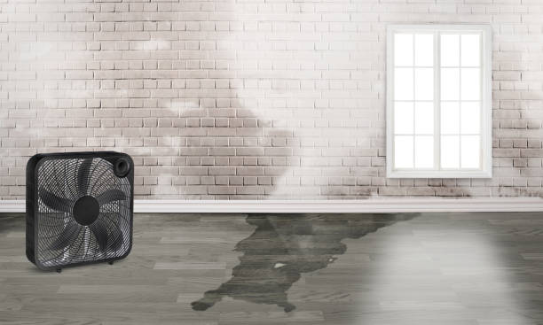 Professional Water damage restoration in Marion, VA