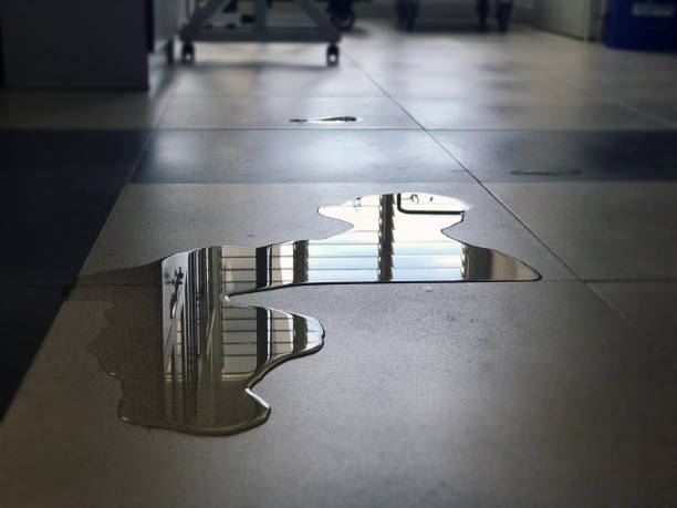 Best Water damage restoration process  in Marion, VA