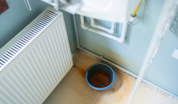 Best Water damage cleanup near me  in Marion, VA