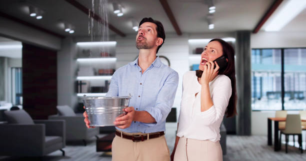 Best Mold removal after water damage  in Marion, VA
