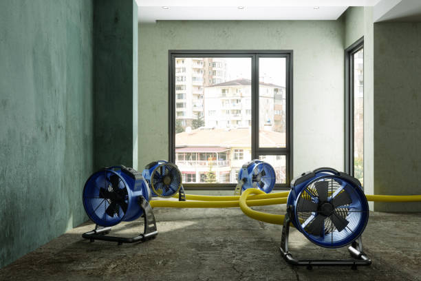 Best Commercial water damage restoration  in Marion, VA