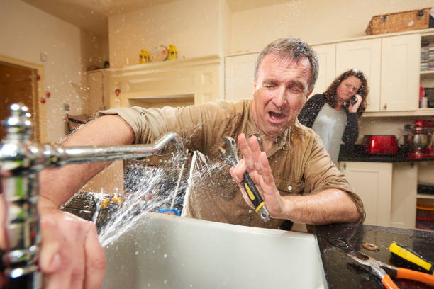 Best Flooded house restoration  in Marion, VA